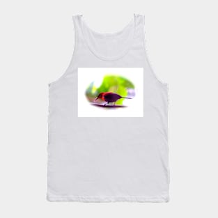 EASTERN CRIMSON SUNRISE Tank Top